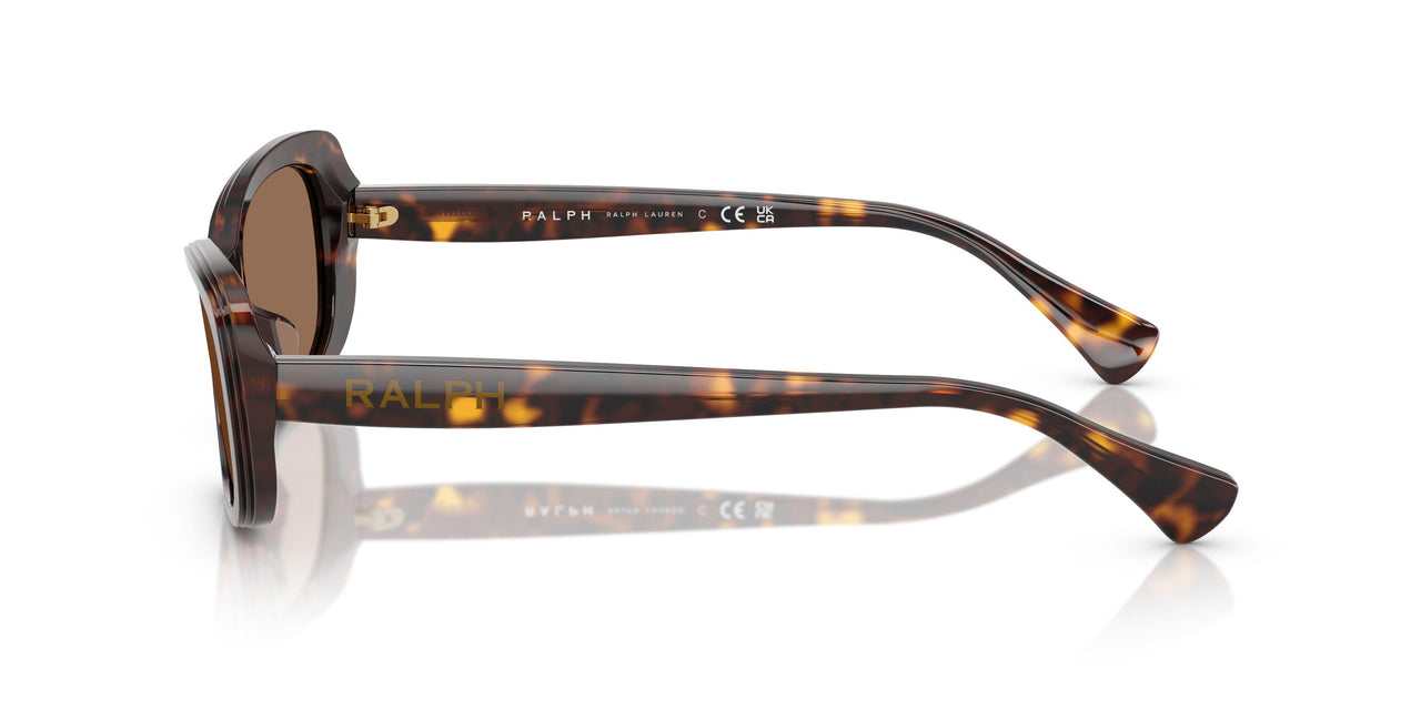 500313 - Tortoise - Brown