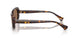 500313 - Tortoise - Brown