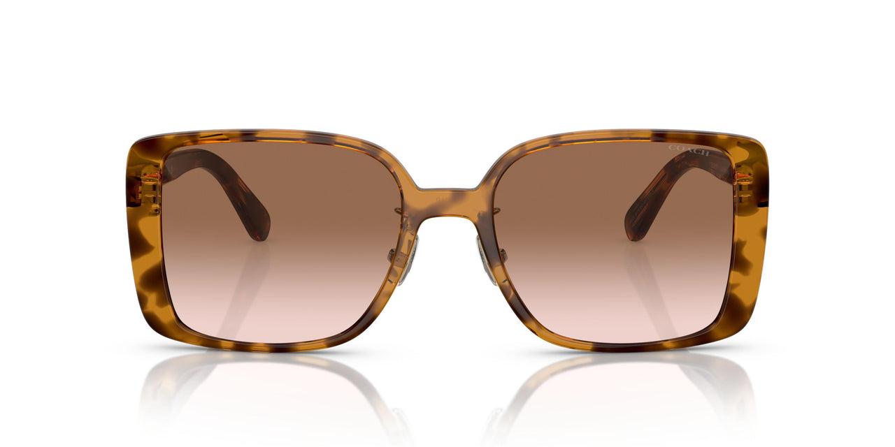512013 - Tortoise - Brown Pink Gradient
