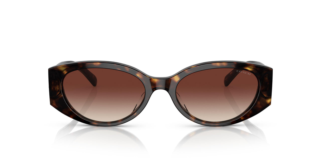 512013 - Havana - Dark Brown Gradient