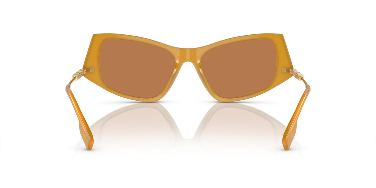 409473 - Yellow - Dark Brown