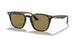 710/73 - Havana - Brown