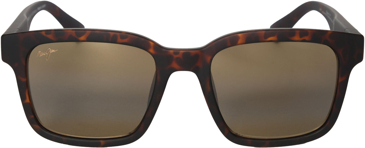 10 - Matte Dark Havana - Hcl Bronze