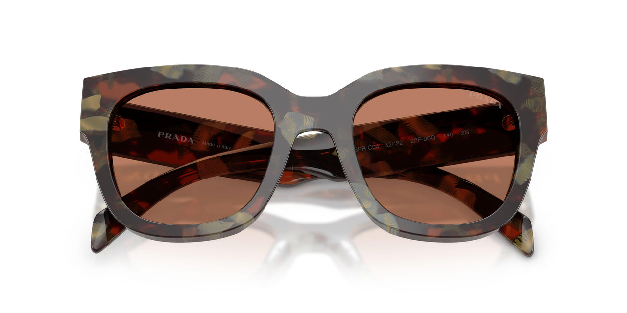 22F90Q - Tortoise - Brown