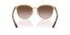 507813 - Brown - Brown Gradient