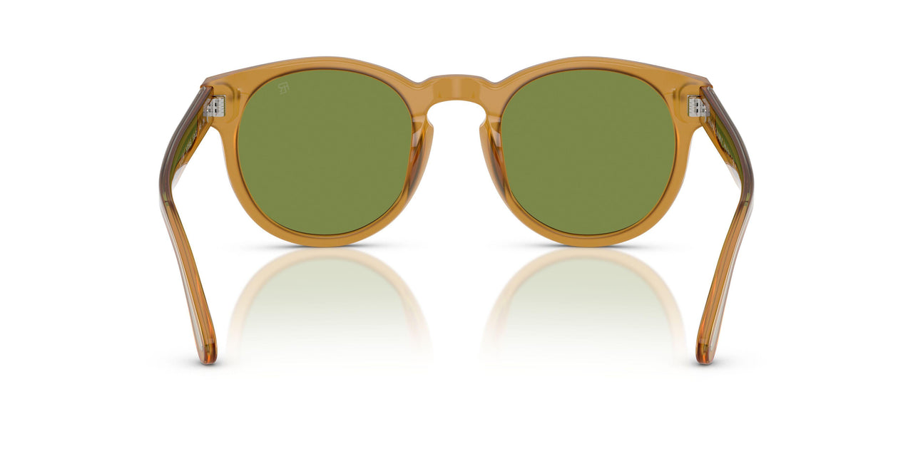 52754E - Tortoise - Solid Green