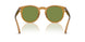 52754E - Tortoise - Solid Green