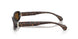 004/57 - Tortoise - Polar Brown