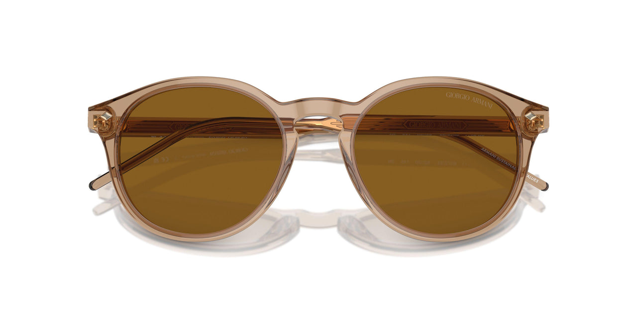 607233 - Brown - Brown