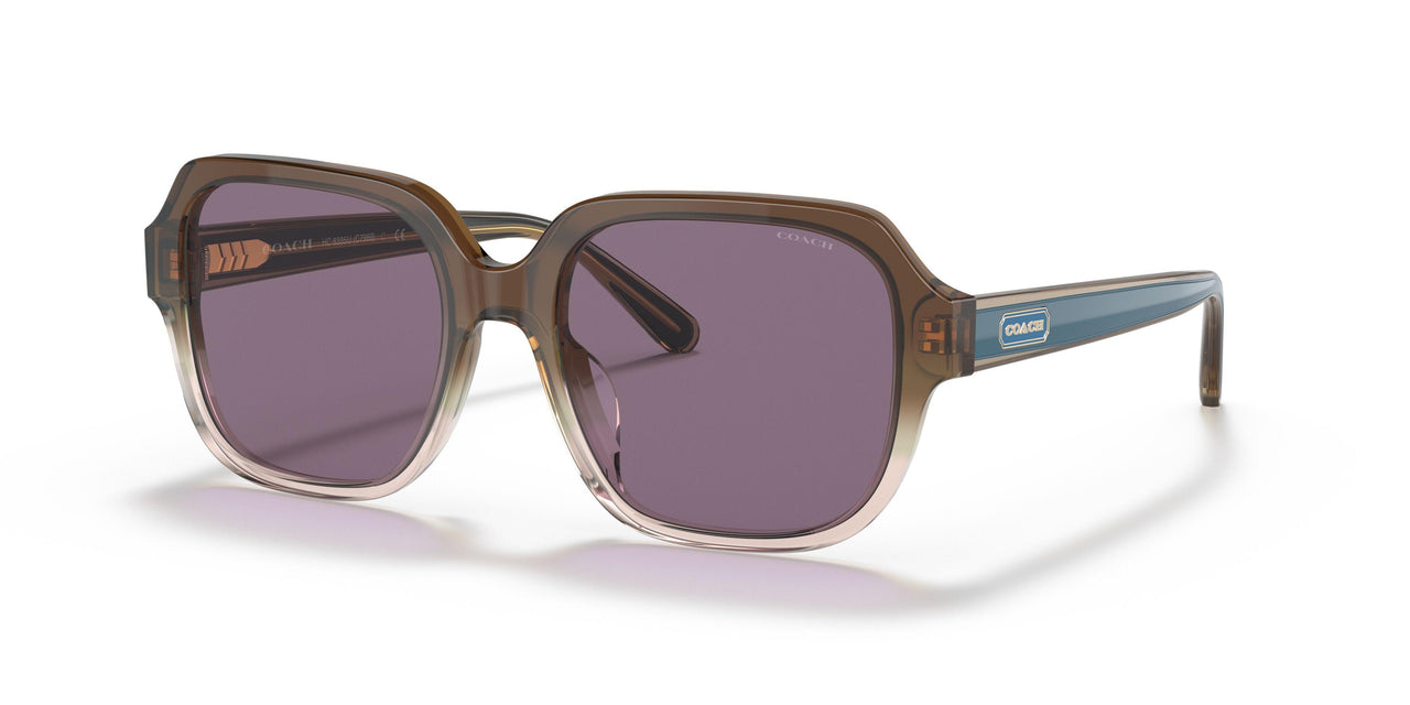 56781A - Brown - Violet Solid