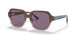 56781A - Brown - Violet Solid
