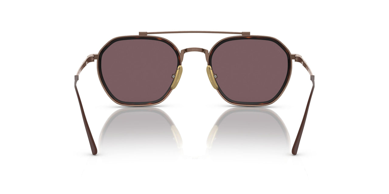 8016AF - Brown - Dark Violet Polar + Ar