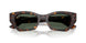 135971 - Tortoise - Dark Green