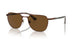 114857 - Brown - Polar Brown