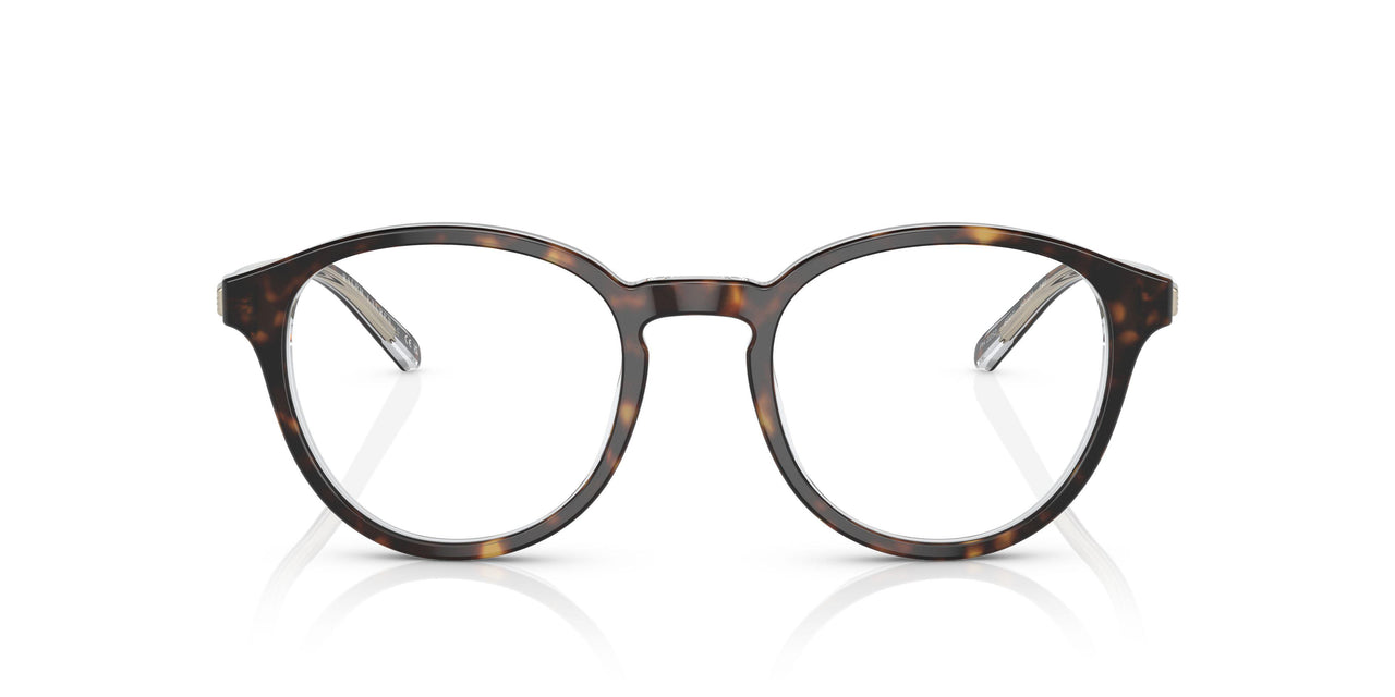6027 - Tortoise