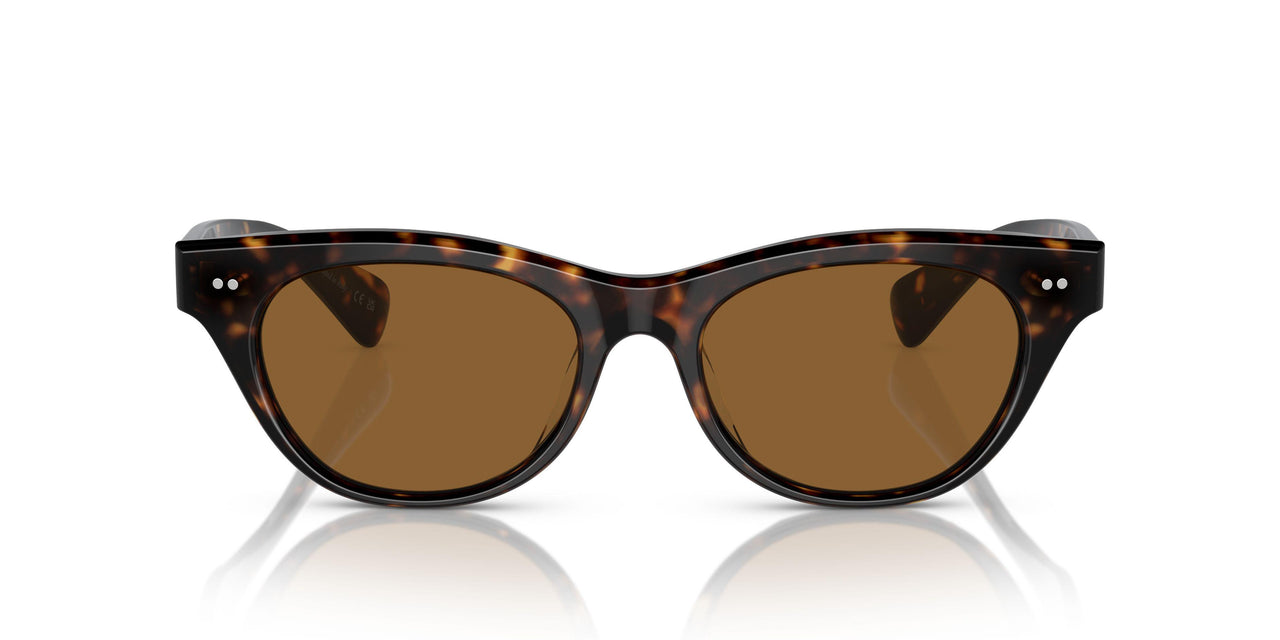 100953 - Tortoise - True Brown