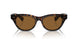 100953 - Tortoise - True Brown