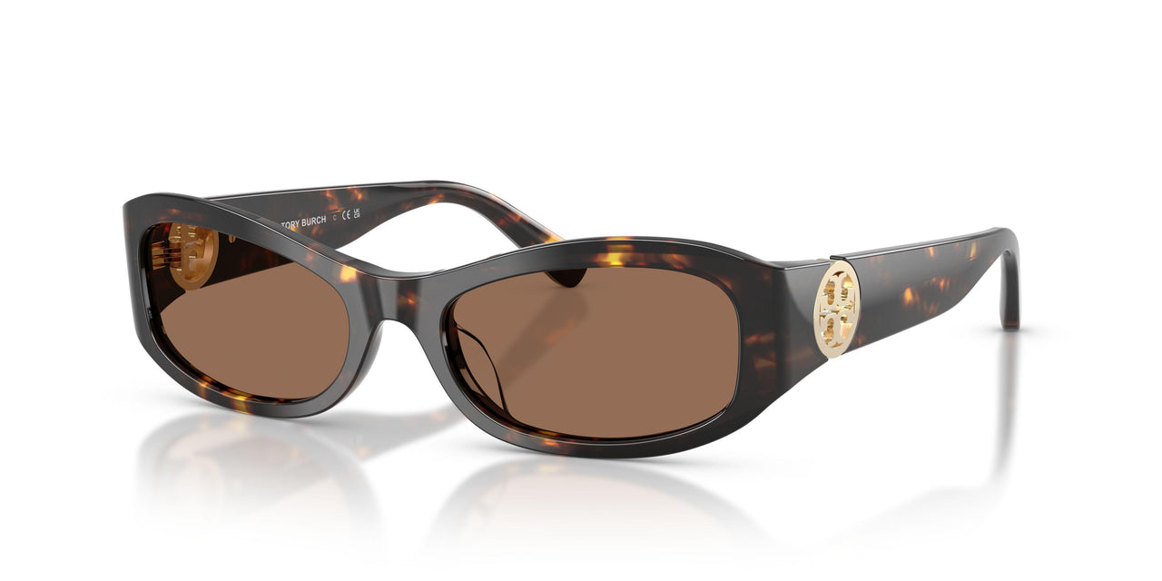 198173 - Tortoise - Brown
