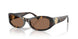 198173 - Tortoise - Brown