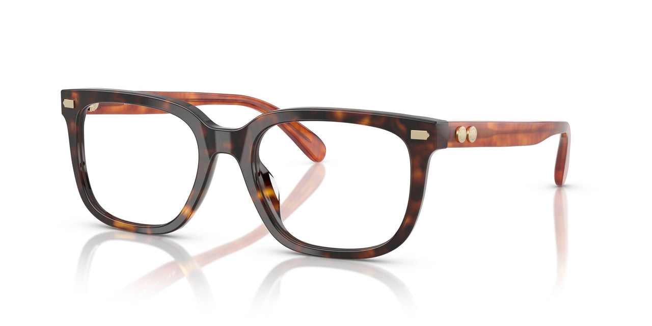 5120 - Tortoise