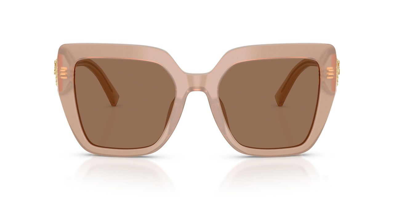 304273 - Brown - Dark Brown