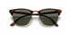 990/58 - Red Havana - Crystal Green Polarized