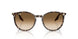 143151 - Yellow - Clear Gradient Brown
