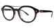 303 - Black Tortoise