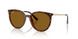Ray-Ban 4464L Sunglasses