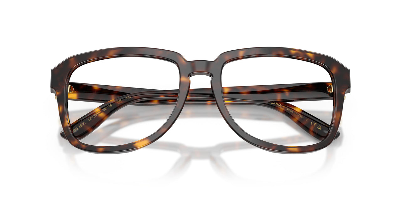 502/SB - Tortoise - Clear Blue Light Filter