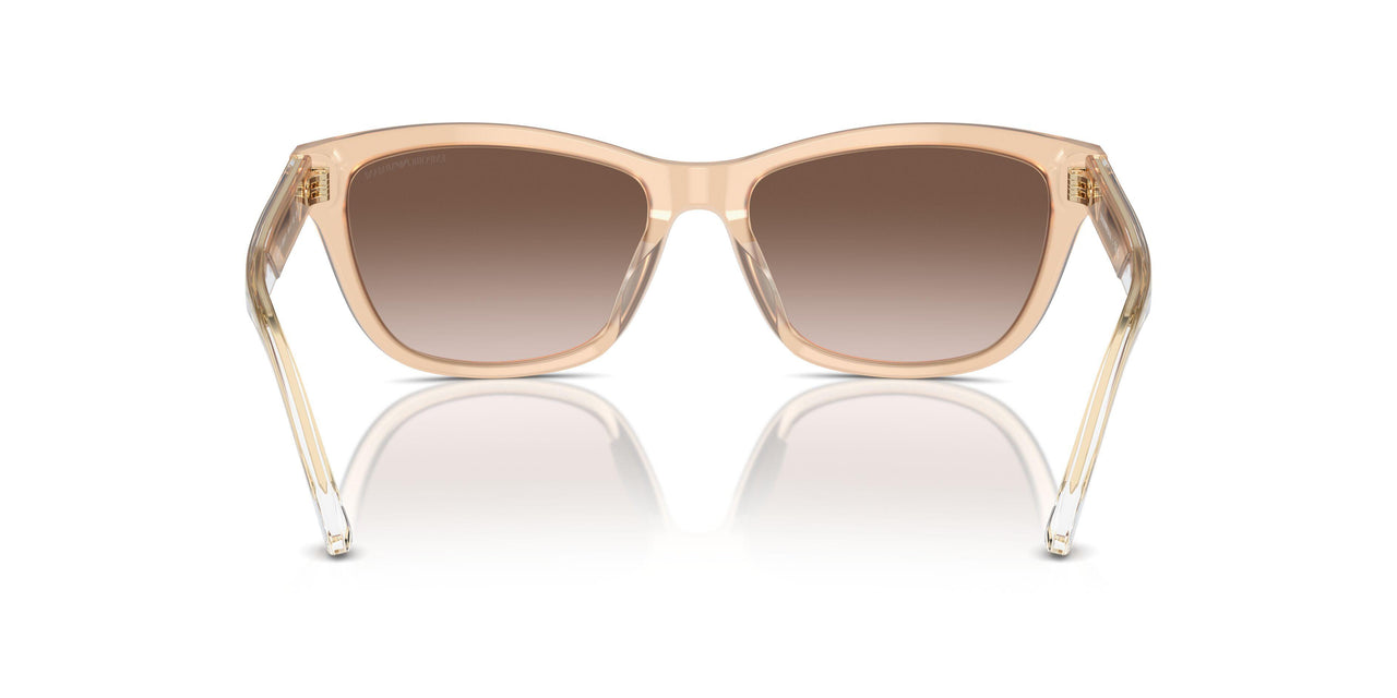 609813 - White - Gradient Brown