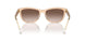 609813 - White - Gradient Brown