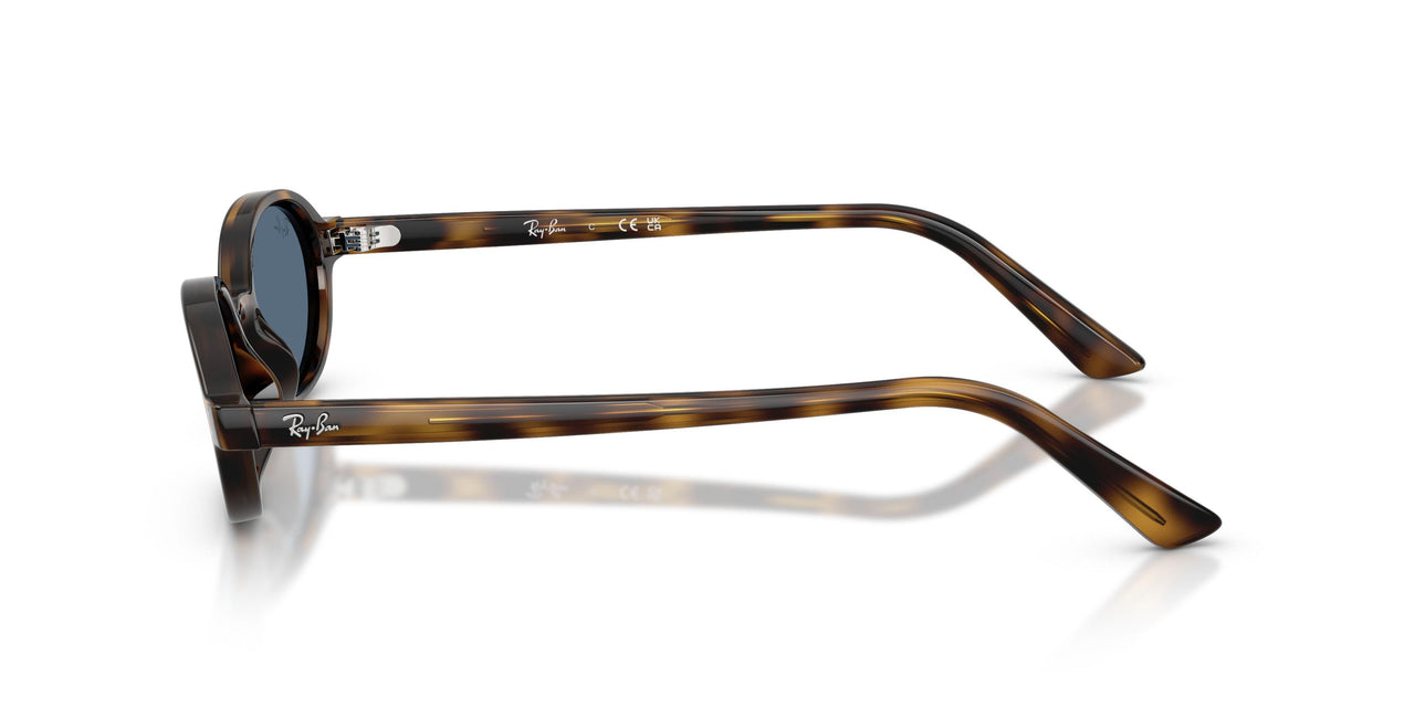 135980 - Tortoise - Dark Blue