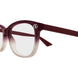 010 - Brown/Burgundy - Transparent