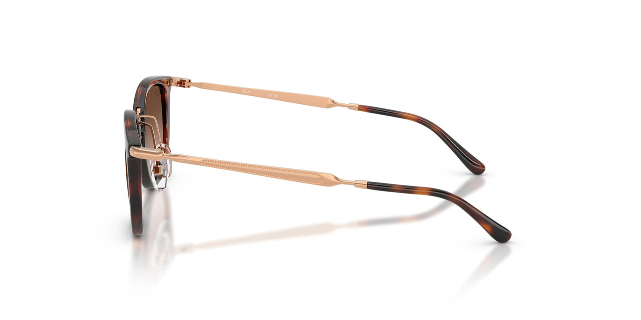 721913 - Brown - Light Brown Gradient Dark Brow