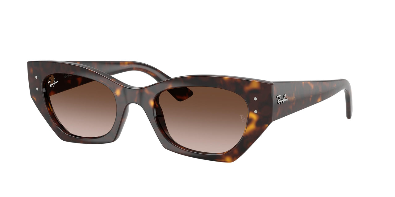135913 - Tortoise - Gradient Brown