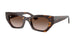135913 - Tortoise - Gradient Brown