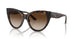 W65613 - Havana - Brown Gradient
