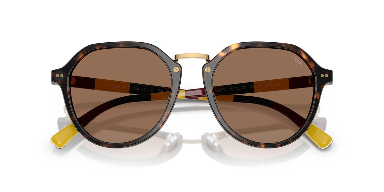 621273 - Tortoise - Dark Brown