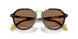 621273 - Tortoise - Dark Brown
