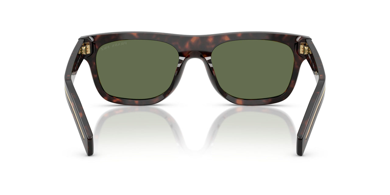 17N20G - Tortoise - Polar Green