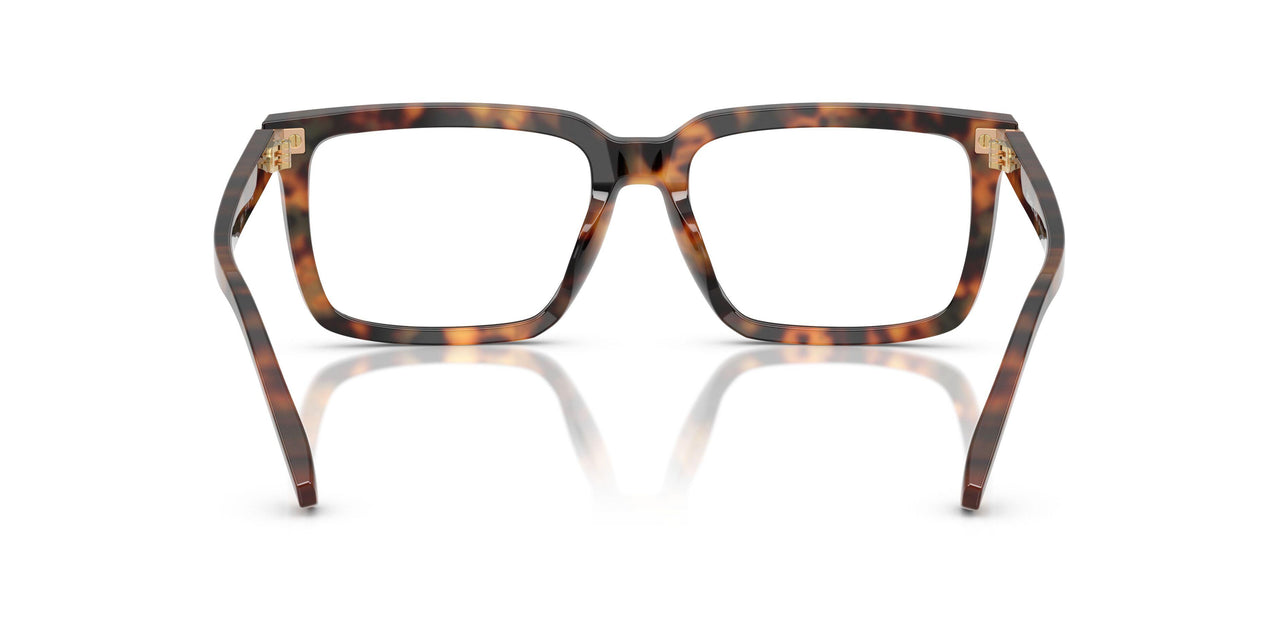 3904 - Tortoise