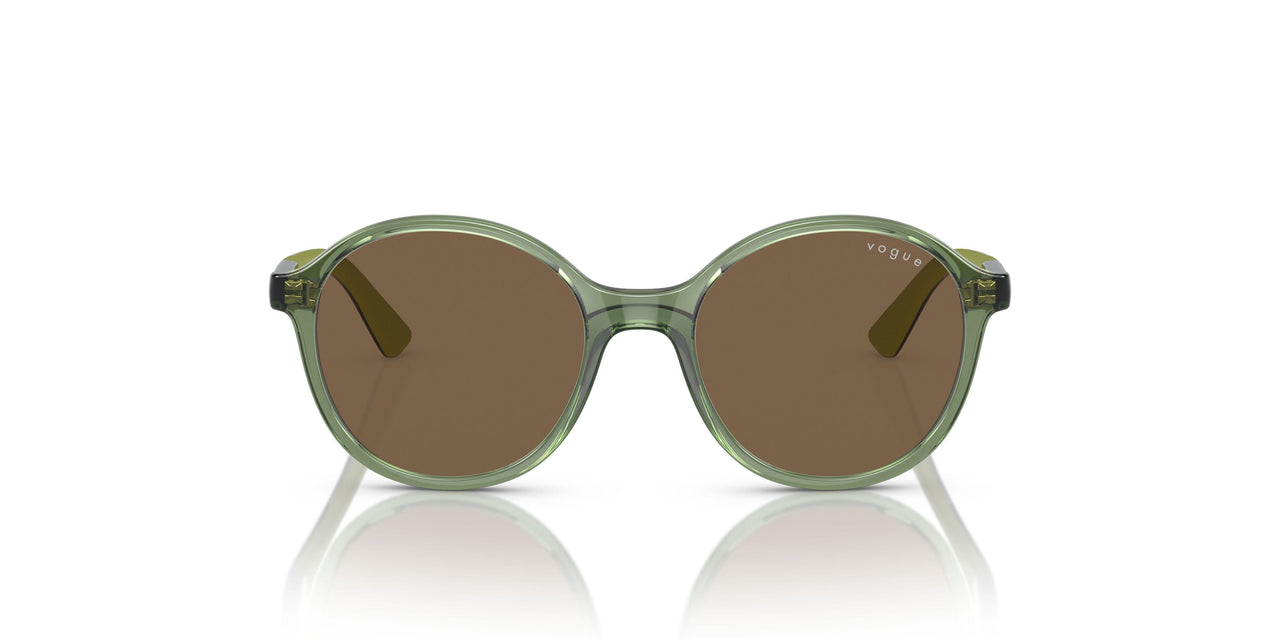 306773 - Transparent Dark Green - Dark Brown
