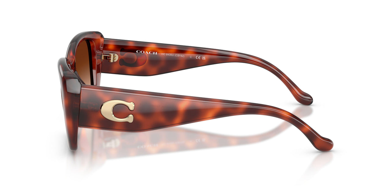 577474 - Tortoise - Brown Gradient