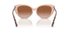 408813 - Pink - Brown Gradient