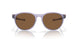 912611 - Violet - Prizm Bronze