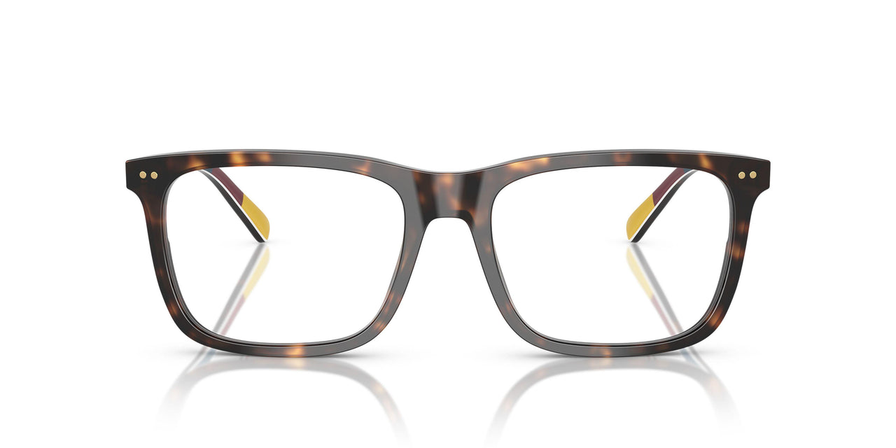 6212 - Tortoise