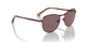 1124AF - Brown - Dark Violet Polar