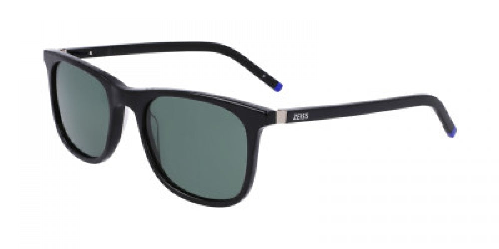 Zeiss ZS22509SP Sunglasses