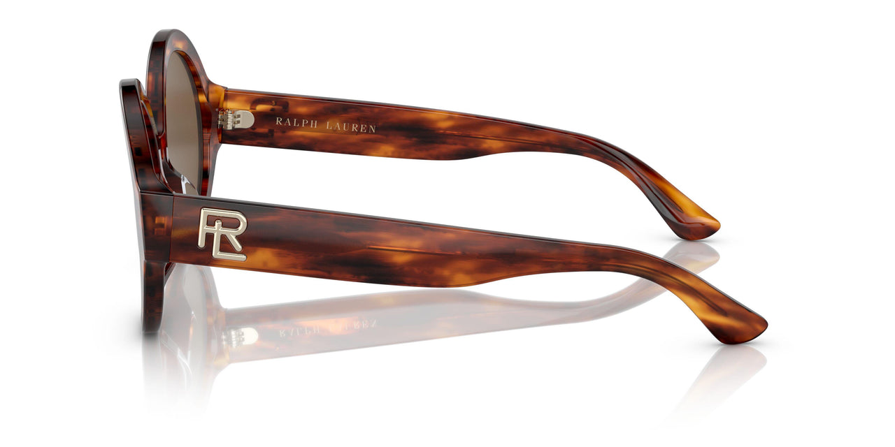 500773 - Havana - Brown